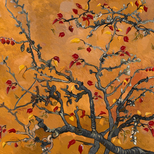 抖阴app入口免费
