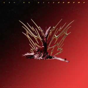 抖阴app入口免费
