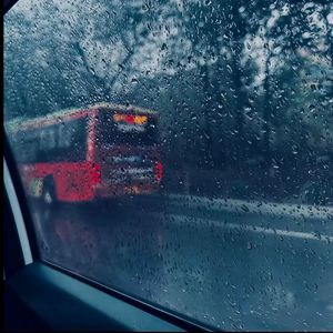 抖阴app入口免费
