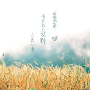 抖阴app入口免费
