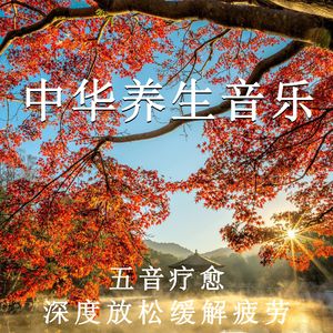 抖阴app入口免费
